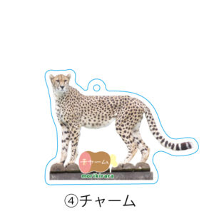 アクリルキーホルダー | 